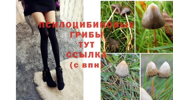 дмт Бронницы