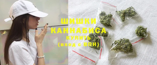 МДПВ Бородино
