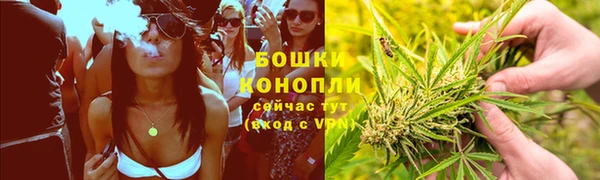 МДПВ Бородино