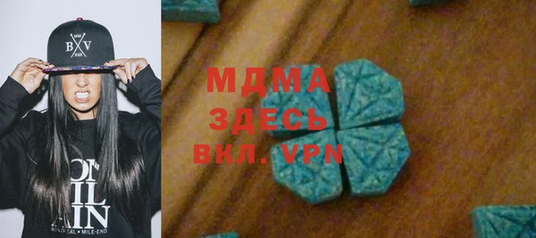 МДПВ Бородино