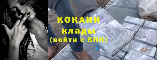 МДПВ Бородино