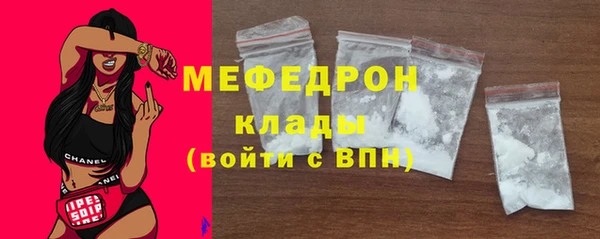 МДПВ Бородино