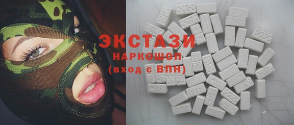 МДПВ Бородино