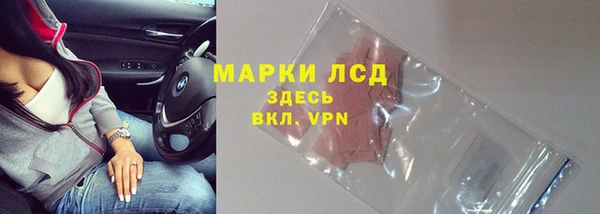 МДПВ Бородино