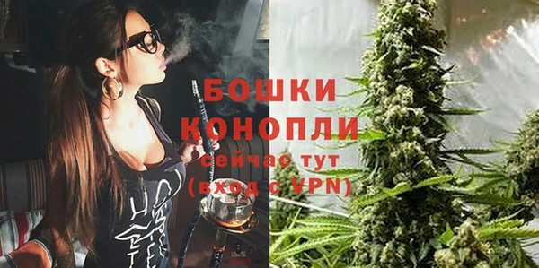 дмт Бронницы