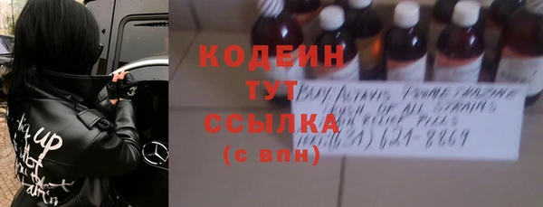 МДПВ Бородино