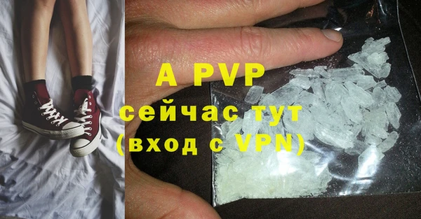 МДПВ Бородино