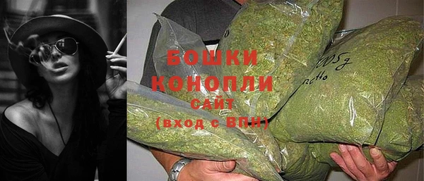 дмт Бронницы