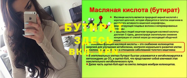 МДПВ Бородино