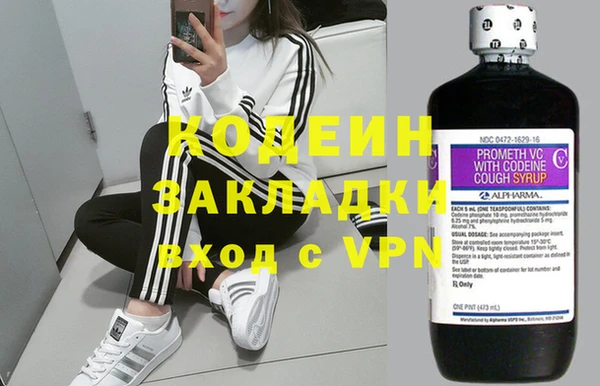 МДПВ Бородино
