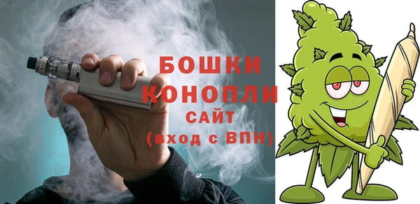 МДПВ Бородино