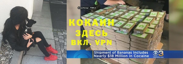 дмт Бронницы