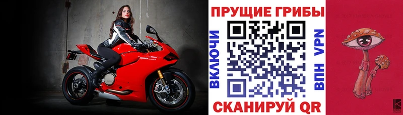 Псилоцибиновые грибы ЛСД  где продают наркотики  blacksprut вход  Нижнекамск 