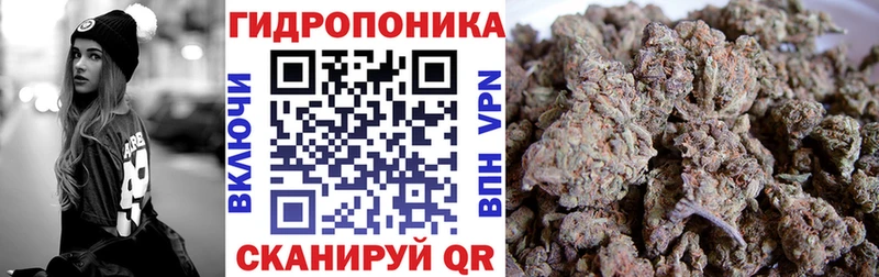 Шишки марихуана MAZAR  OMG рабочий сайт  Нижнекамск 